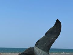 -烟台金沙滩海滨公园