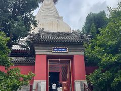 -妙应寺白塔