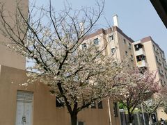 -四川大学江安校区小吃城