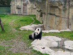 -上海野生动物园