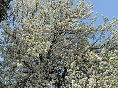 -东钱湖旅游度假区