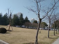 -上海市第一人民医院(松江南部)