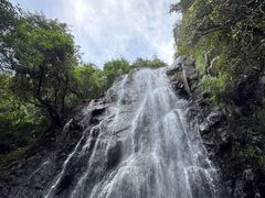 -马峦山郊野公园