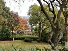 -上海市保健医疗中心