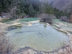 -黄龙山原始森林景区