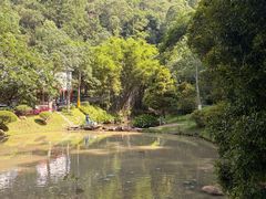 -火炉山森林公园