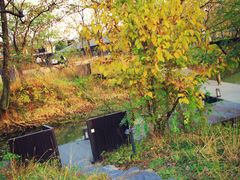 -木守西溪溪隐餐厅