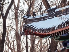 -北陵公园
