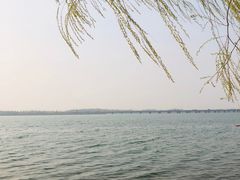 -丁香湖公园