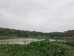 -广东花都湖国家湿地公园