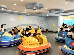 -海合安成都极地海洋公园