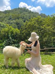 -花漾摄影优选工作室(东莞原创作品店)