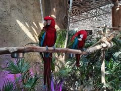 -杭州开元森泊度假乐园