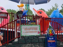 -南湖梦幻岛