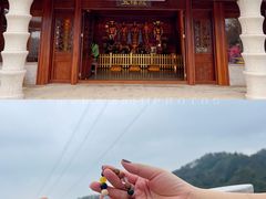 -南丹山森林王国
