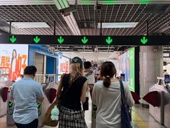 -大望路(地铁站)