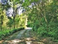 -黄公望隐居地