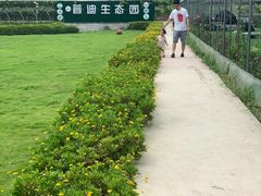 -普迪生态园