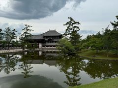-奈良公园