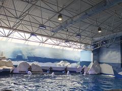 -秦皇岛乐岛海洋王国