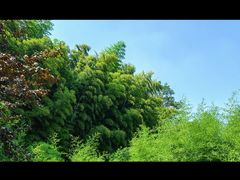 -苏州环秀晓筑养生度假村