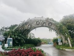 -江门古劳水乡旅游区