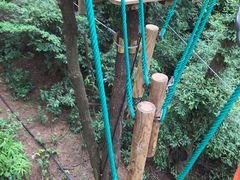 -芦仙山景区-飞越丛林探险乐园