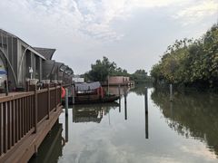 -大湾区中央湿地公园-十九涌