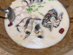 -老福耶小草帽石锅鱼(奥体店)