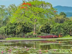 -中国科学院西双版纳热带植物园