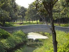 -蠡湖大桥公园