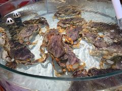 -万龙洲海鲜(大兴绿地缤纷城店)