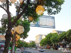 -阿拉提大盘鸡@米饭(南环东路汇邻广场店)