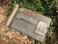 中折瀑-雁荡山三折瀑景区