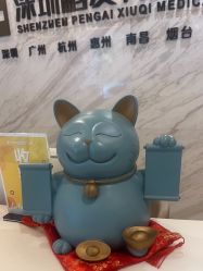 -深圳鹏爱秀琪医疗美容医院