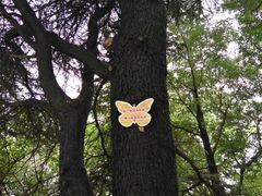 -襄阳烈士陵园(襄城区)