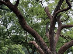 -三台山庄中餐厅