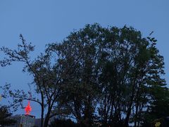 -玲珑塔公园