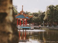 -金砂公园