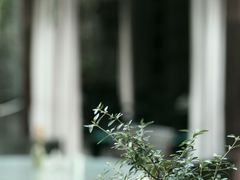 -梧桐花园餐厅(新城店)