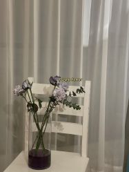 -巴黎婚纱摄影工作室