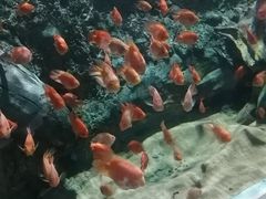 -临沂极地海洋王国