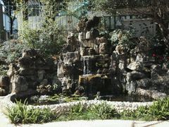 -山大王菌莊