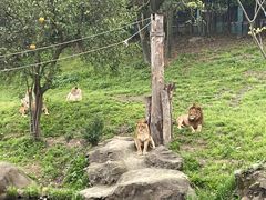 -宁波野生动物园