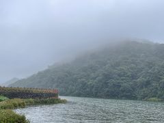 -广州市石门国家森林公园