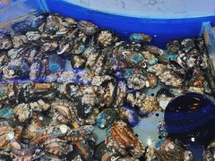 -澜悦港海鲜体验主题餐厅