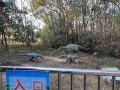 -洪湖悦兮半岛国际温泉度假村