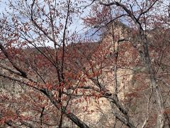-圣莲山风景区