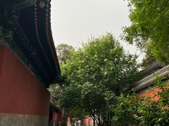 -国家植物园南园