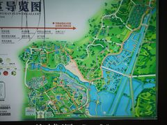-花博汇(知音花月夜)